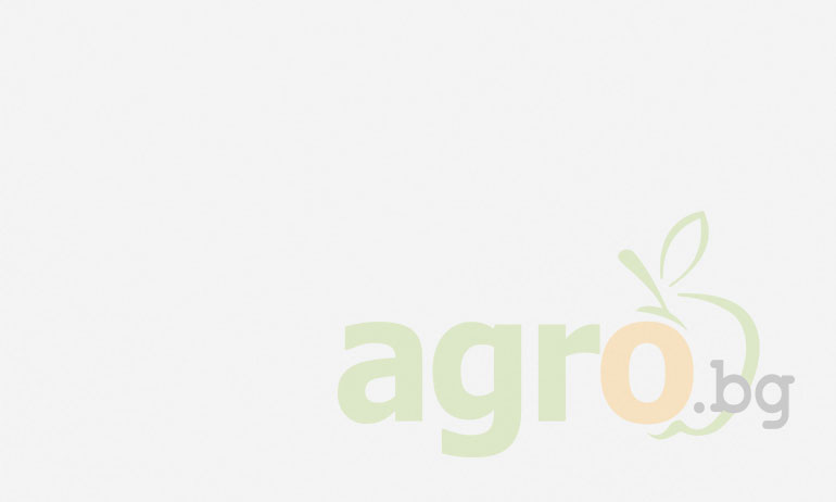 Проектът OrganicAdviceNetwork поставя началото на първата европейска мрежа от консултанти по биологично земеделие